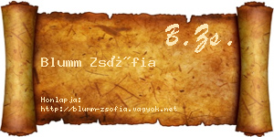 Blumm Zsófia névjegykártya